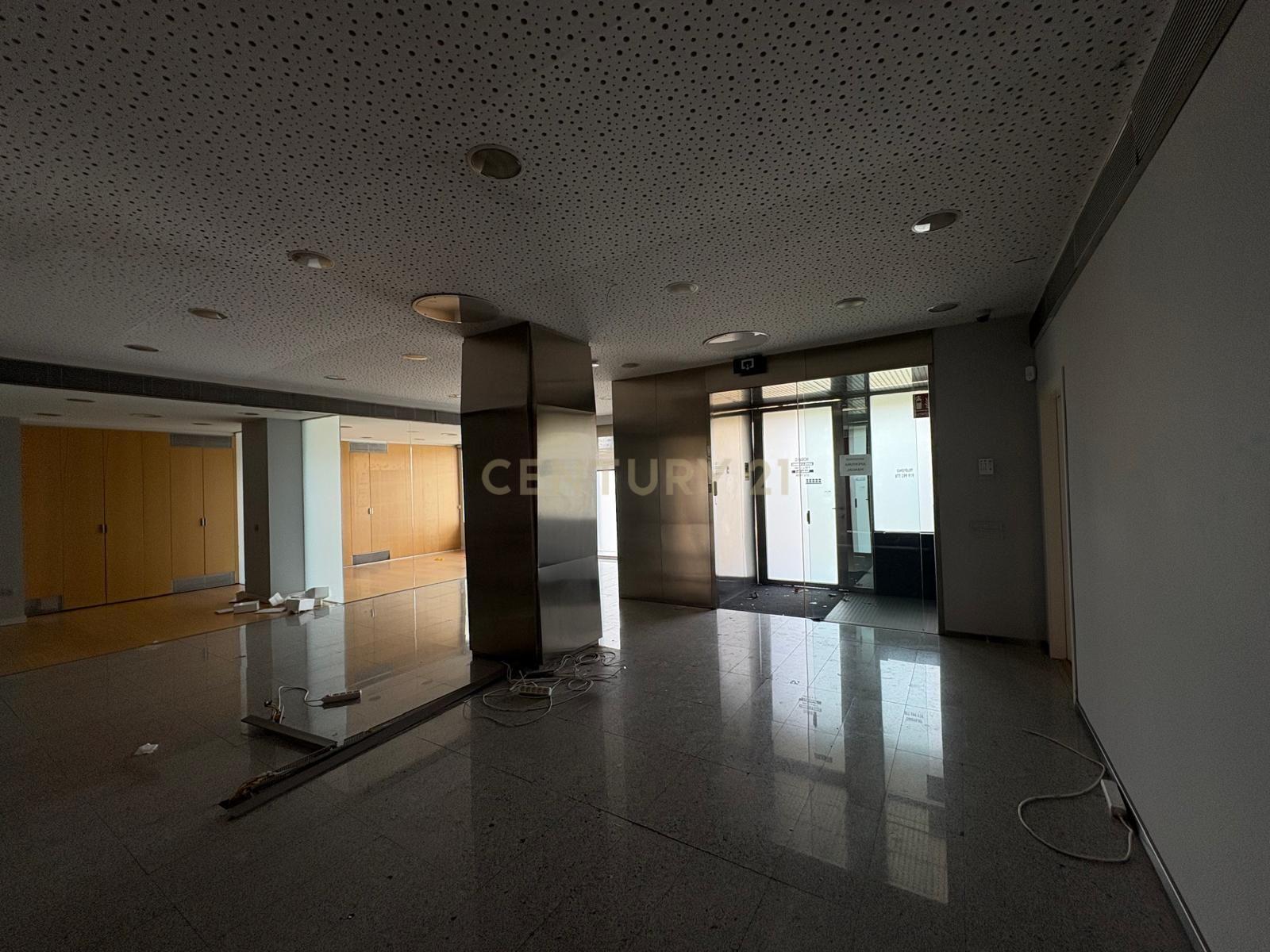  - Image 11